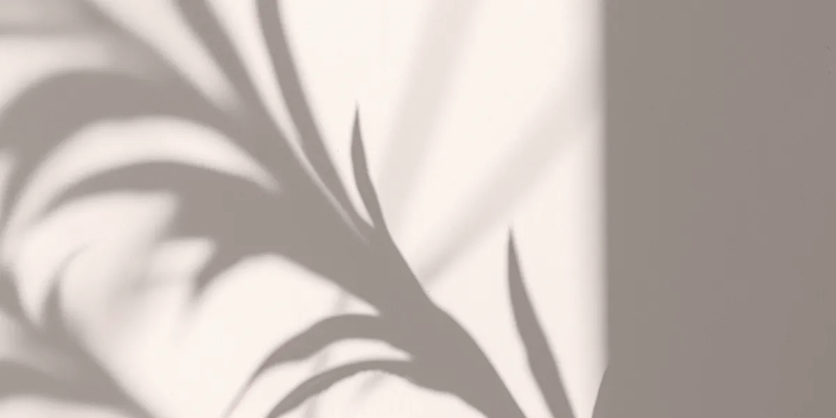 Archétype du Magicien : incarner la transformation sans tomber dans le mystique